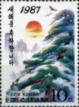 Pine