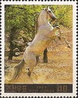 Horse (Equus ferus caballus)