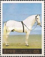 Horse (Equus ferus caballus)
