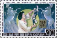 Performing horses and cat act