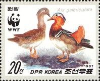 Mandarin Duck (Aix galericulata)