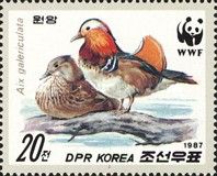 Mandarin Duck (Aix galericulata)