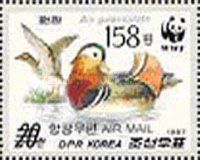 Mandarin Duck (Aix galericulata)
