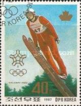 Ski Jumping