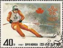 Alpine Skiing