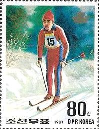 Cross-country Skiing