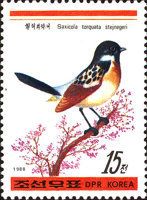 Stejneger's Stonechat (Saxicola torquata stejnegeri)