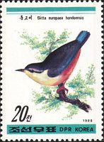 Eurasian Nuthatch (Sitta europaea hondoensis)