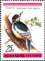 Japanese Great Spotted Woodpecker (Dendrocopos major japonic