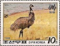 Emu (Dromaius novaehollandiae) 