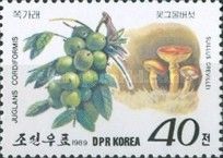 Juglans cordiformis - Suillus grevillei