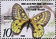 Evermann's Parnassian (Parnassius eversmanni)