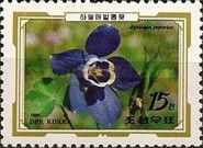 Aquilegia japonica