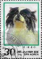 Japanese Chin (Canis lupus familiaris)