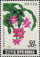 Epiphyllum truncatum