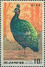 Congo Peafowl (Afropavo congensis)