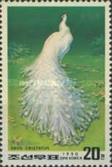 White Indian Peafowl (Pavo cristatus)