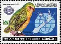 Kakapo (Strigops habroptilus)