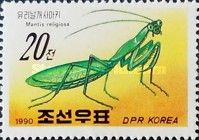 Praying Mantis (Mantis religiosa)