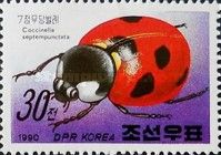 Seven-Spot Ladybird (Coccinella septempunctata)