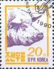 Domestic Pig (Sus scrofa domestica)