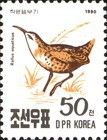Water Rail (Rallus aquaticus)