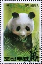 Giant Panda (Ailuropoda melanoleuca)