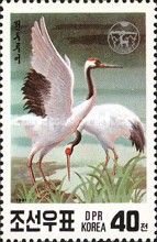 Red-crowned Crane (Grus japonensis)