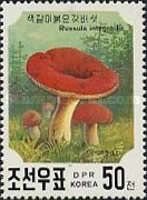 Russula Integra