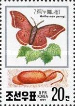 Chinese Tussar Moth (Antheraea pernyi)