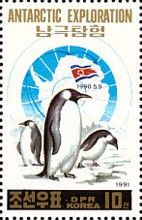 King Penguin (Aptenodytes patagonicus)