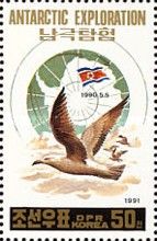 Great Black-backed Gull (Larus marinus)