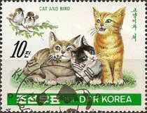 Cat (Felis silvestris catus) & Tree Sparrow (Passer montanus