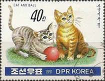 Cats (Felis silvestris catus) and Ball