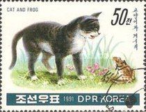 Domestic Cat (Felis silvestris catus) and Frog