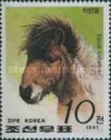 Horse (Equus ferus caballus)