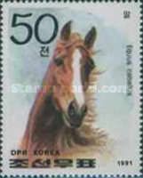 Horse (Equus ferus caballus)