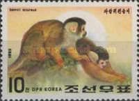 Guianan Squirrel Monkey (Saimiri sciureus)