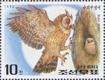 Eurasian Eagle-Owl (Bubo bubo)