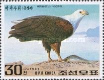 African Fish-Eagle (Haliaeetus vocifer)
