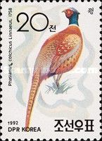 Ring-necked Pheasant (Phasianus colchicus)