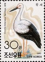 Oriental White Stork (Ciconia boyciana)