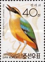 Fairy Pitta (Pitta brachyura)
