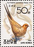 Pallas's Sandgrouse (Syrrhaptes paradoxus)