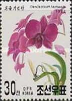 Dendrobium taysuwie