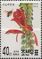 Columnea gloriosa