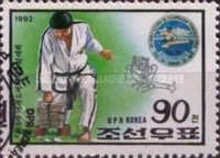 Black-belt braking tiles with fist