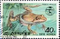 Moor Frog (Rana arvalis)