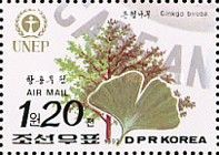 Ginkgo biloba
