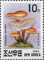 Flammulina velutipes